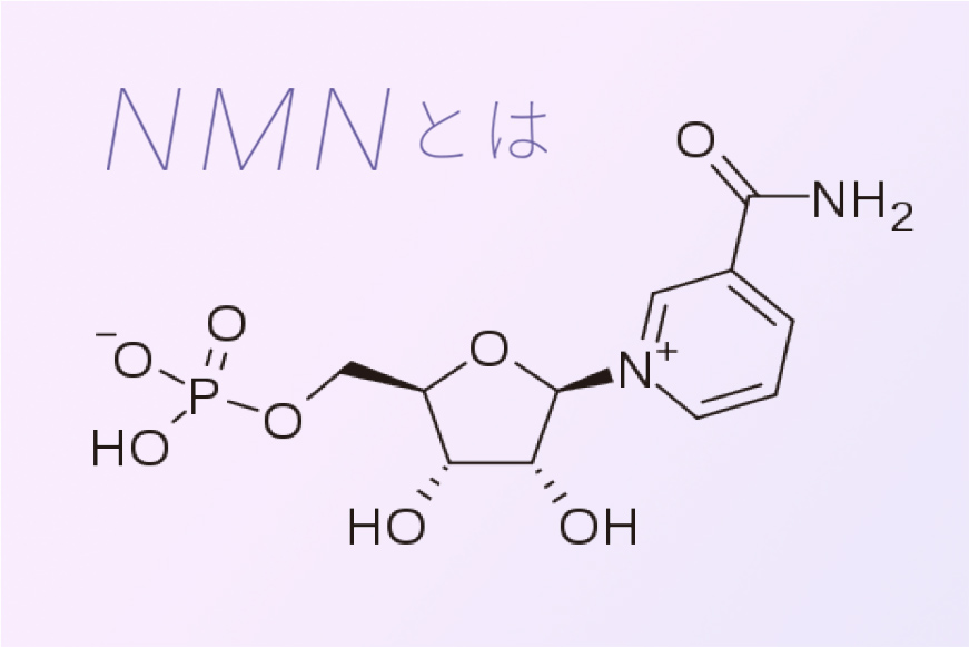 NMNの構造イメージ